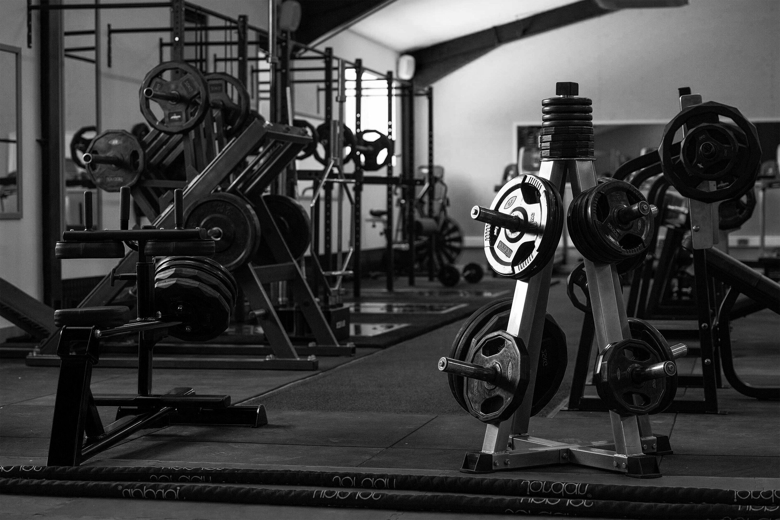 New & Refurbished Gym & Fitness Equipment For Sale - Fitness